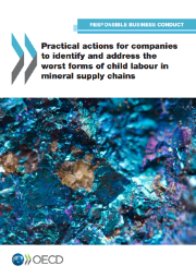 Guide_Worst forms of child labour in mineral supply chains